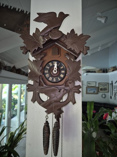 Traditional bird cuckoo - traditional,