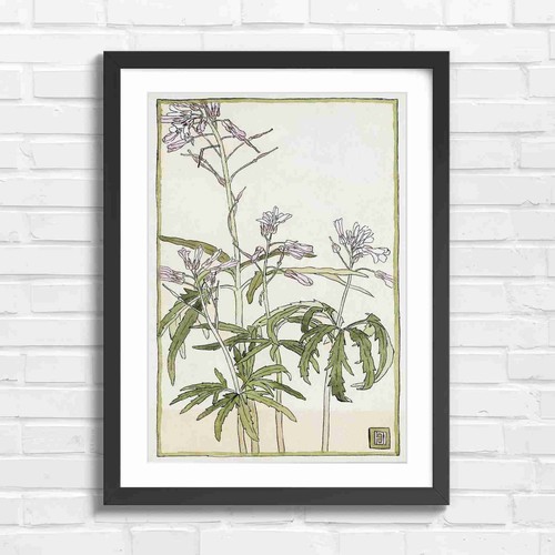 Delicate vintage wildflower - delicate,