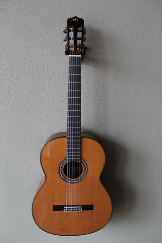 Brand new cordoba crossover - brand, c9
