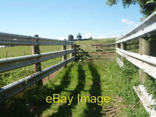 Photo 6x4 cattle handling - 6x4,