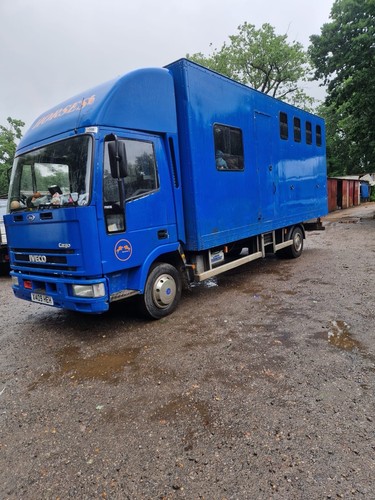 HORSEBOX