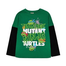 Teenage Mutant Ninja Turtles