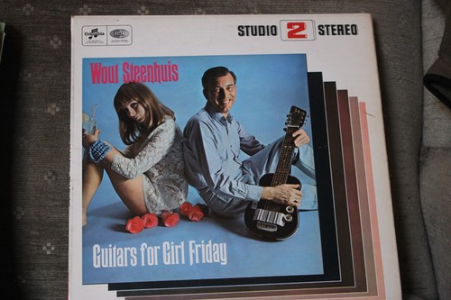 Wout steenhuis guitars - -,