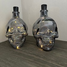 Pair of Glass Skull LED Light Up  Lamp Sculpture Decorative Gothic Halloween 