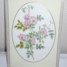 Royal Worcester Porcelain