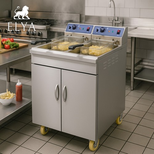 Ace electric double - electric, fryer
