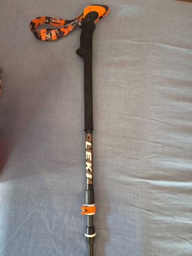 Leki carbon titanium speedlock - titanium,