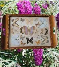 Vintage inlaid mahogany and