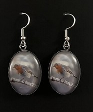 SILVER 925 ROBIN EARRINGS
