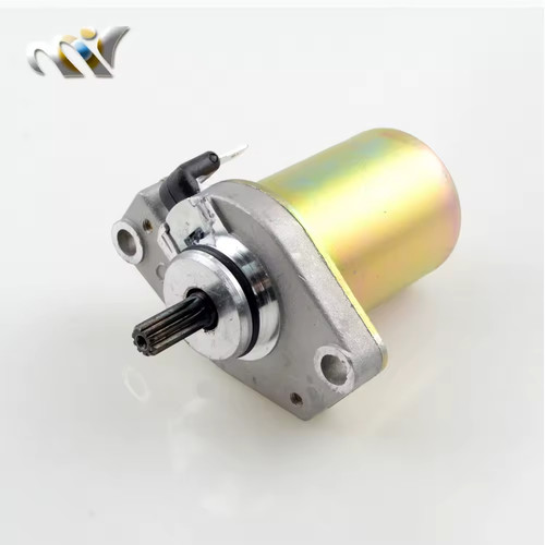 Electric starter motor - motor, for