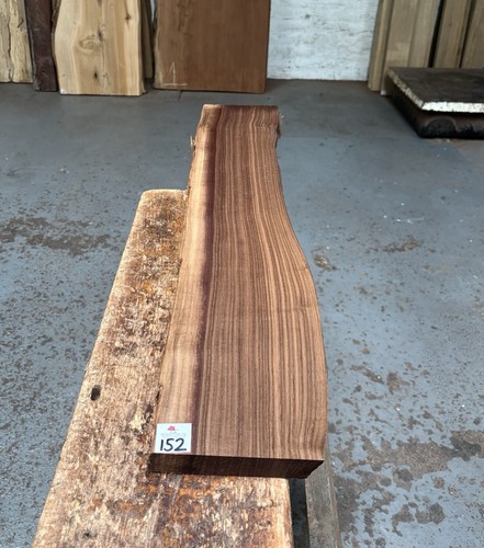 American walnut - american, (20-25mm)