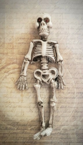 Skeleton 24th scale dolls - skeleton, 1:24th