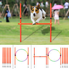 Outdoor Dog Pet Agility Jumps