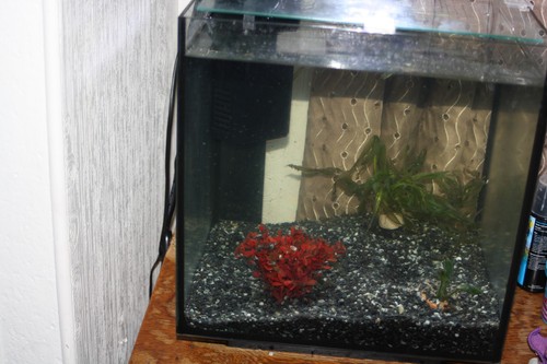 Aquarium q30 plus - aquarium,