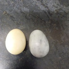 2 Vintage Polished Natural Cream Marble Granite Eggs