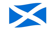 MEDIUM 12" scotland flag vinyl
