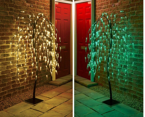 5ft weeping willow tree - weeping,