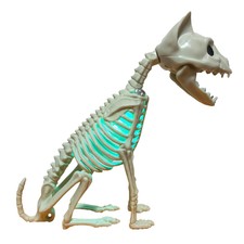 Halloween Life Sized Cat