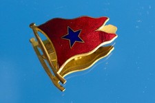 BLUE STAR LINE C-1920'S FINE ENAMEL  1.5" STEWARDS OR OFFICERS CAP BADGE