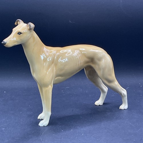 Beswick greyhound jovial - jovial, roger