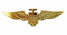 Gold Pilot Wings Badge Aviator