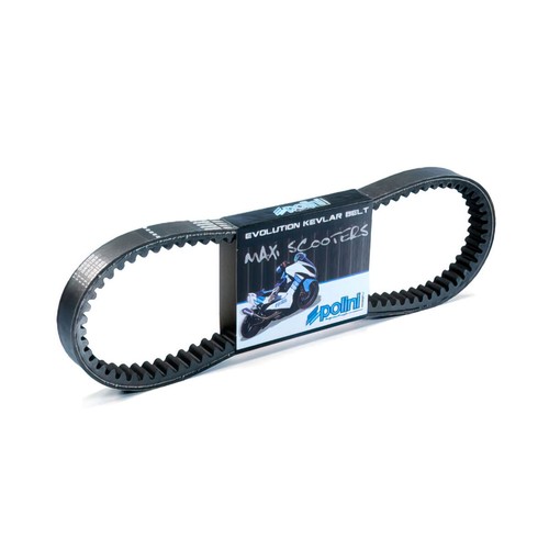 Maxi transmission belt - maxi, 248.081