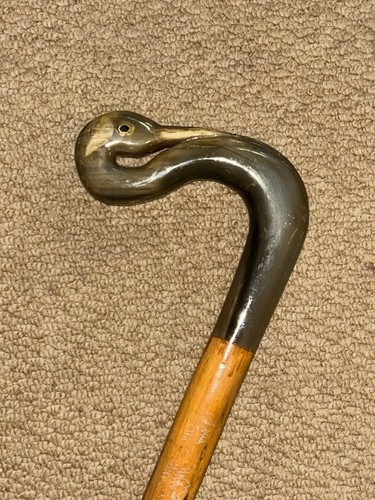 Vintage fruitwood walking - fruitwood,
