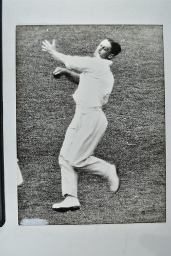Fast bowler gubby - fast, allen