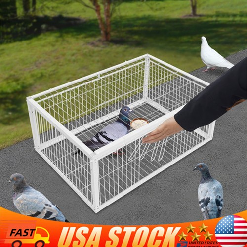 Pigeon trap cage - cage,,