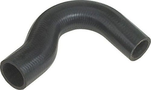 Radiator hose lower fits - lower,