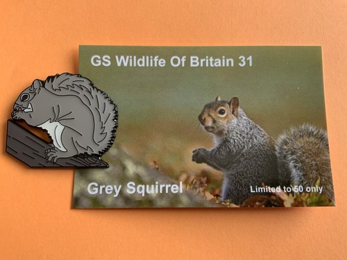 None rspb badges collection - rspb,