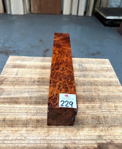 Thuya burr x 12 - 1, /