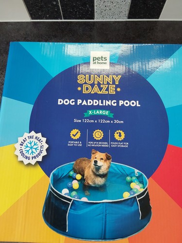 Pets home sunny daze - sunny,
