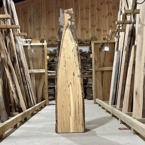 Spalted beech plank - plank, board