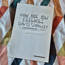 David Shrigley exhibition guide - HOW ARE YOU FEELING? - 2013