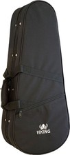 Oblong Mandolin Case, Foam