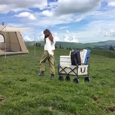 Folding Pull Along Festival