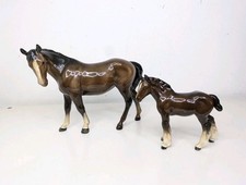 Beswick Bay Mare 976 & Shire