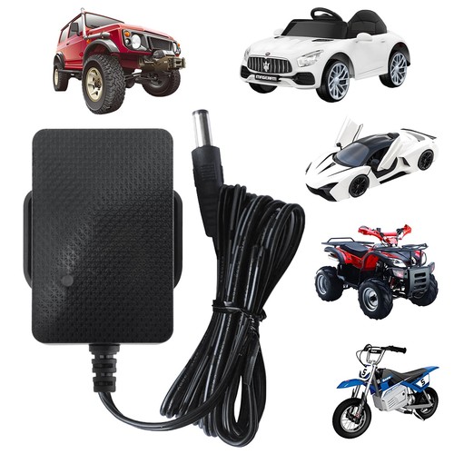 Tosiicop 12v battery charger - tosiicop,