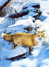 Ron Van Gilder Winter Wood - Red Fox - Wildlife Artist's Proof on Paper