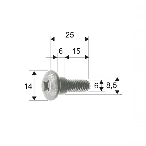 Screws car body head to - screws,