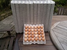280 grey cardboard egg trays - x,