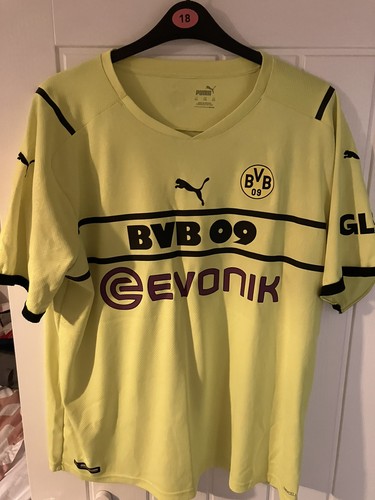 Borussia dortmund football - borussia,