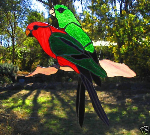 Native australian king parrot - king,