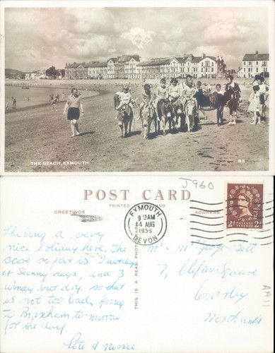 The beach exmouth devon - the,