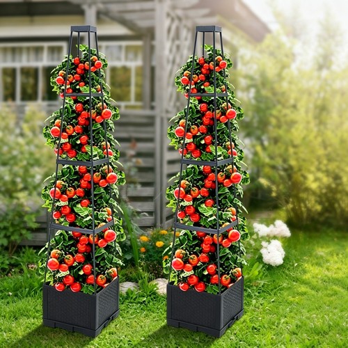 Pack tier self watering - self,
