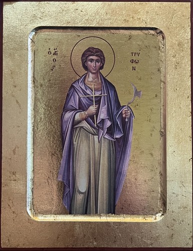Saint tryphon campsada icon - saint,