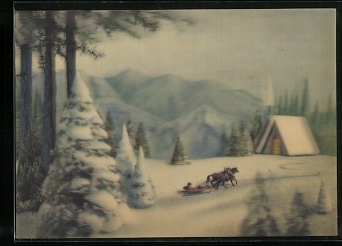 Horse drawn sleigh in - in, a