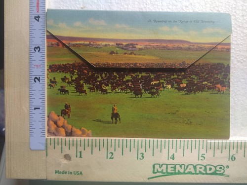 Postcard folder roundup - postcard,