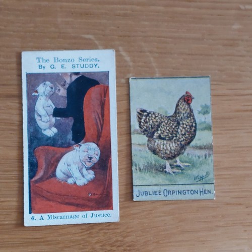 Spratt poultry remedies - remedies, &
